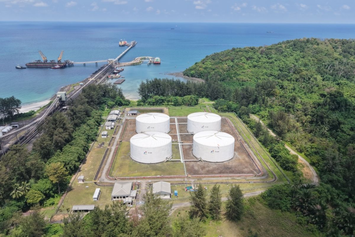 Pengembangan Biodiesel
